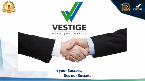 Vestige CNT Video